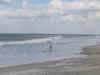 BR2004 042.jpg (31592 bytes)