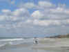 BR2004 043.jpg (25955 bytes)