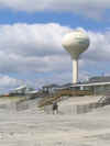 BR2004 044.jpg (21457 bytes)